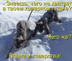 Смешные комментарии из соцсетей 