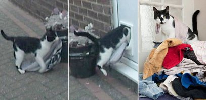 Хроники с места преступления)