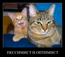 Смешные комментарии из социальных сетей 21.03.16