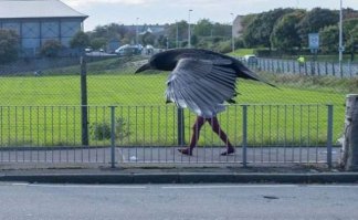 Подборка на тему "показалось"