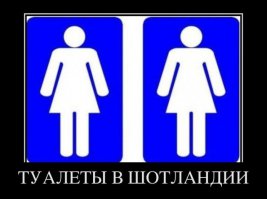 Туалетный креатив