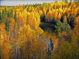 а мне от этих как то теплее...