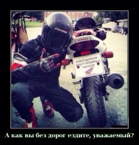 Свежая подборка автоприколов