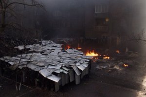 такой черепахе позавидовали бы все Римские легионеры