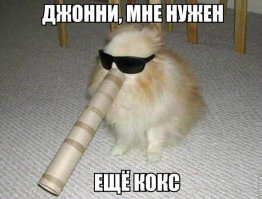 Неделя цыган подходит к концу. Подытожим