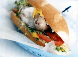 Тебе еще повезло...