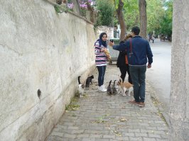 Принцевы острова. октябрь 2014.