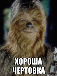 Комментарии и "баяны" из социальных сетей