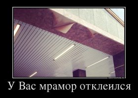 Уважаемый, у вас ус отклеился! 