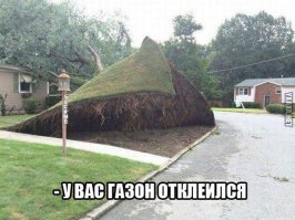 Уважаемый, у вас ус отклеился! 