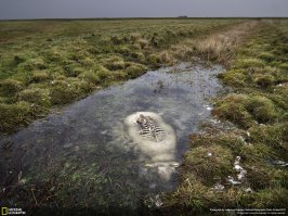 Подборка ужасно красивых фотографий 