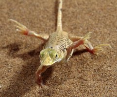 Папа подошел укрыть спящего младенца, но когда он увидел его движения, то не смог сдержать смех!