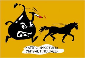 Прикольные фотомемы и демотиваторы