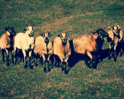 Разборки на дороге 