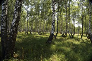 Орловская область