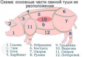 Елене посоветуем не делать попыток выглядеть умнее, чем есть.
Открываем глазки, читаем надпись под номером 4.
Заодно узнаем для себя много нового по поводу остальных частей туши.
