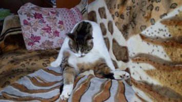 17 человек, у которых слишком много свободного времени