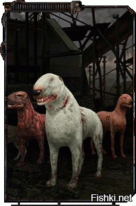 Нас обманывают! Вот живность зоны