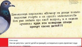 Маленькие голуби это воробьи )))))))))))))
