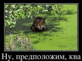 Фотожабы: тигр, плывущий в заросшем водорослями водоёме