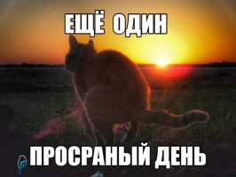 У кого-нибудь есть оригинал этой картинки? Поделитесь, плз.
Кстати, "просранный" с двумя Н.