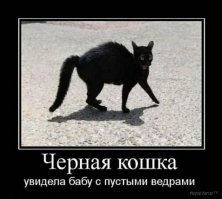 Прикольные фотомемы и демотиваторы