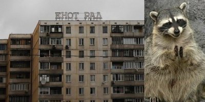 а вот и ответ хозяйке от питомца