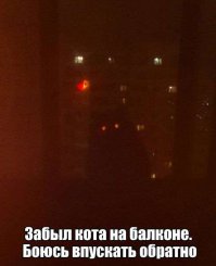 Смешные картинки с надписями 23.03.2016