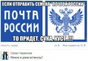 Комментарии и "баяны" из социальных сетей