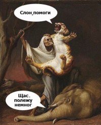 Комментарии и "баяны" из социальных сетей