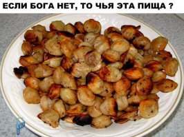 Смешные картинки с надписями 23.03.2016