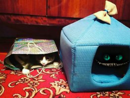 А если нет разницы — зачем платить больше?