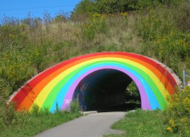 Прикольно конечно, но терзают мысли, что это туннель ведёт к пид.рам (ах да к геям)