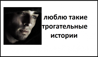  Трогательная история осиротевшего лисенка