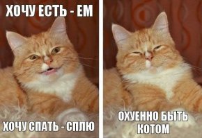 Особенно, когда яйца будут резать
