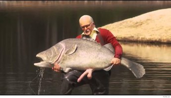 Животные с самыми странными особенностями тела 