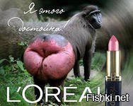 Очередная жертва "надувательства" губ 