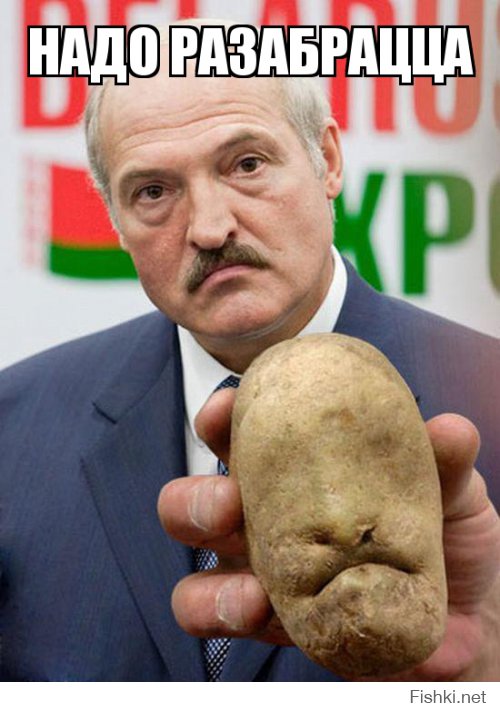 Ох уж эта жестокая и голодная Беларусь, где за еду надо бороться