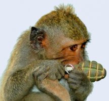 Женщины за рулем