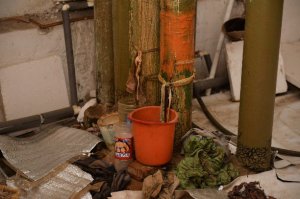 Как живут туляки в водонапорной башне