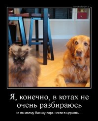 Кот-оборотень  ( А по мне, так симпатяха)