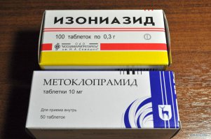Алабай напал на женщину с ребенком
