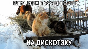 Картинки с надписями про это