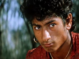 выкраду вместе с забором!