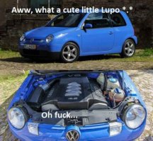 А если нет разницы — зачем платить больше?