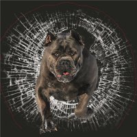 Казахский дизайнер спроектировал потрясающий стеклянный дом в виде... трубы вокруг дерева