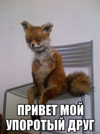 Сила фотошопа в руках весельчаков