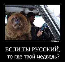Что нет медведей???
Да как они посмели??? Я аж балалайку сломал, хорошо хоть водку не пролил на автомат калашникова. Мой медведь вообще в шоке - аж матрешку выронил