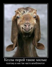 Картинки с надписями про это