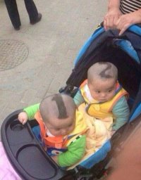 Прикольные картинки. Дневной выпуск